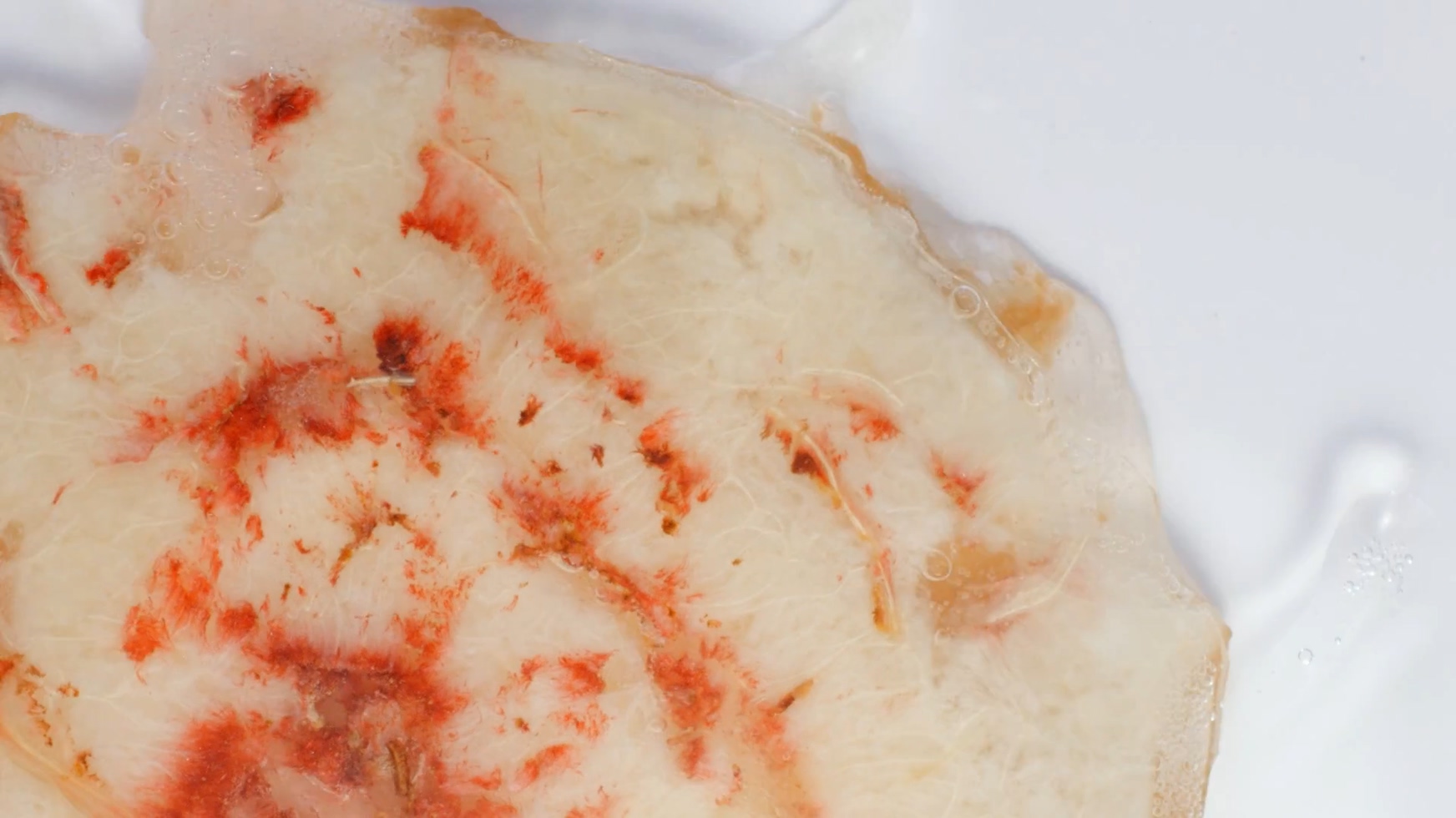 美食類食品拍攝宣傳視頻